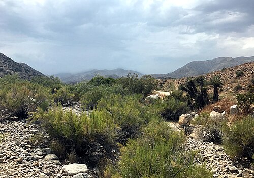 Morongo Valley